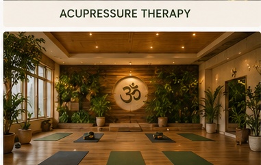 Peaceful Studio at Raj Yogashala